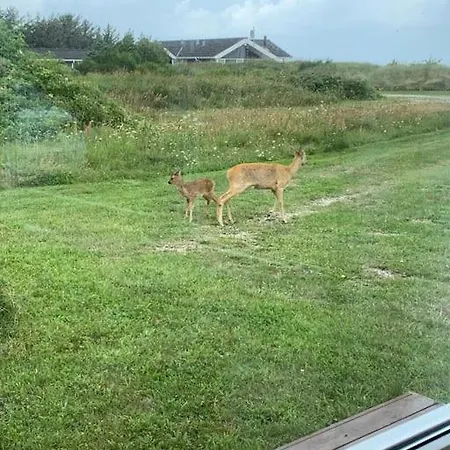 Hébergement de vacances Nordlys-huset Tversted Bindslev